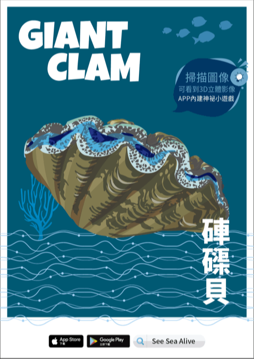 giant clam